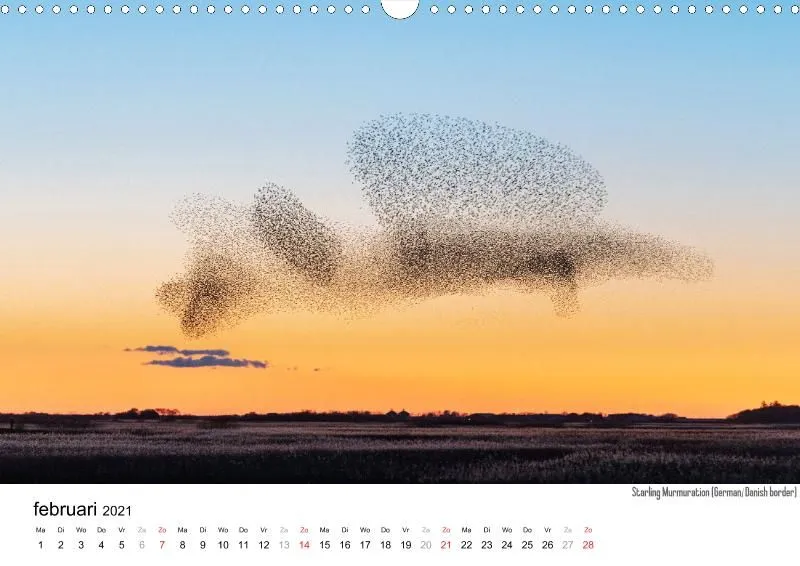 Wildlife 2021 NL
