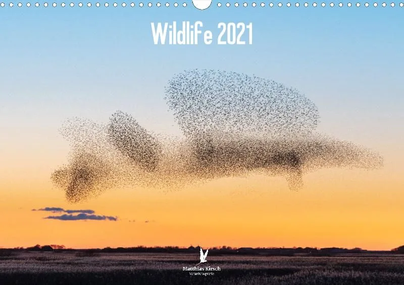 Wildlife 2021 De