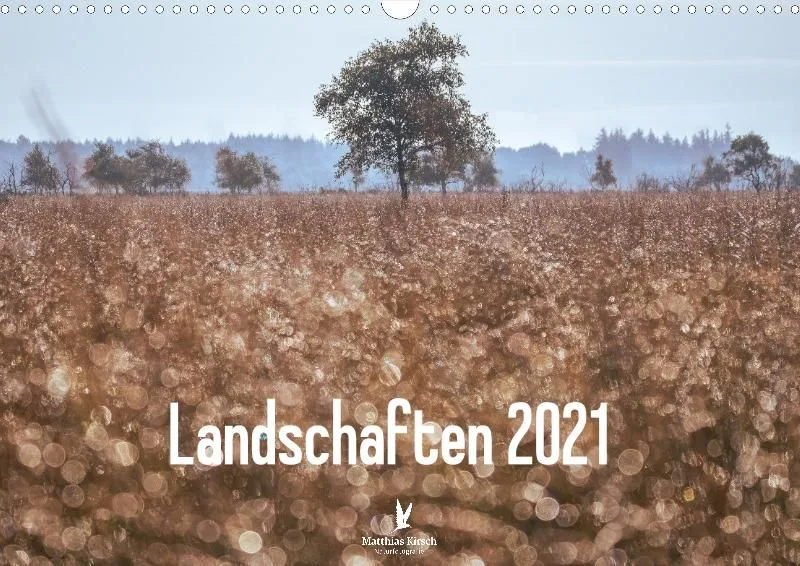 Landschaften 2021 De