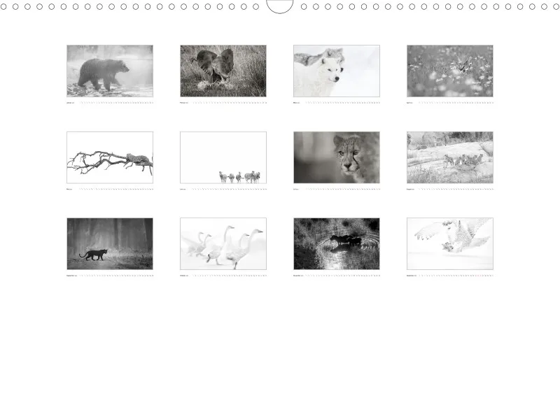 2023 Black & White A3