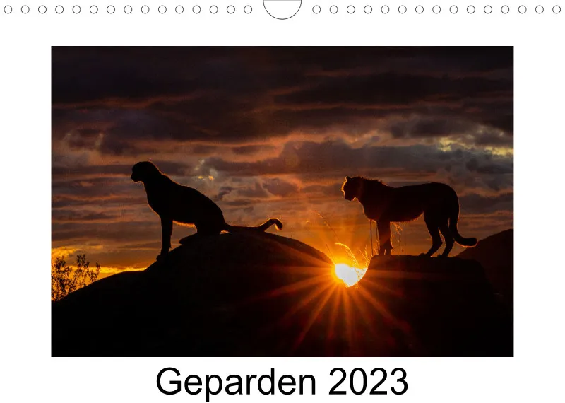 Geparden 2023 A4