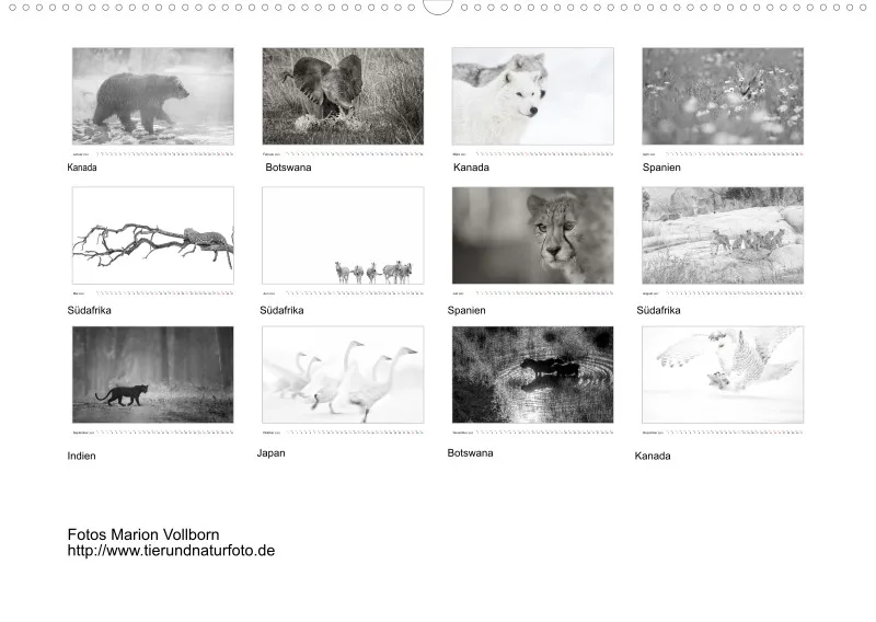 2023 Black & White A2
