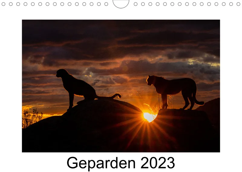Geparden 2023 A4