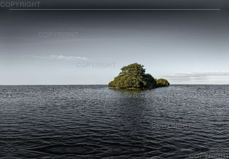 Foto-Leinwand (45x30cm) / Reif für die Insel
