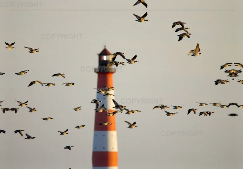 Foto-Leinwand (45x30cm) / Am Leuchtturm vorbei
