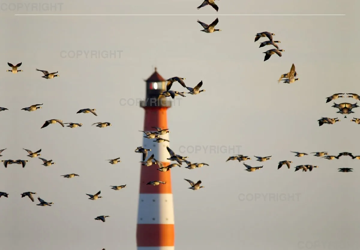 Foto-Leinwand (45x30cm) / Am Leuchtturm vorbei