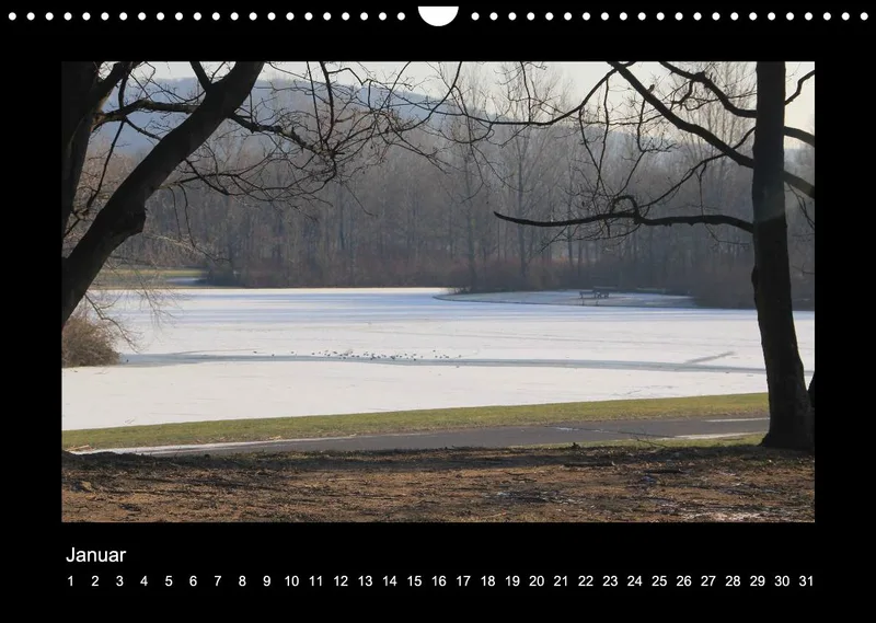 Meine Rheinaue Bonn