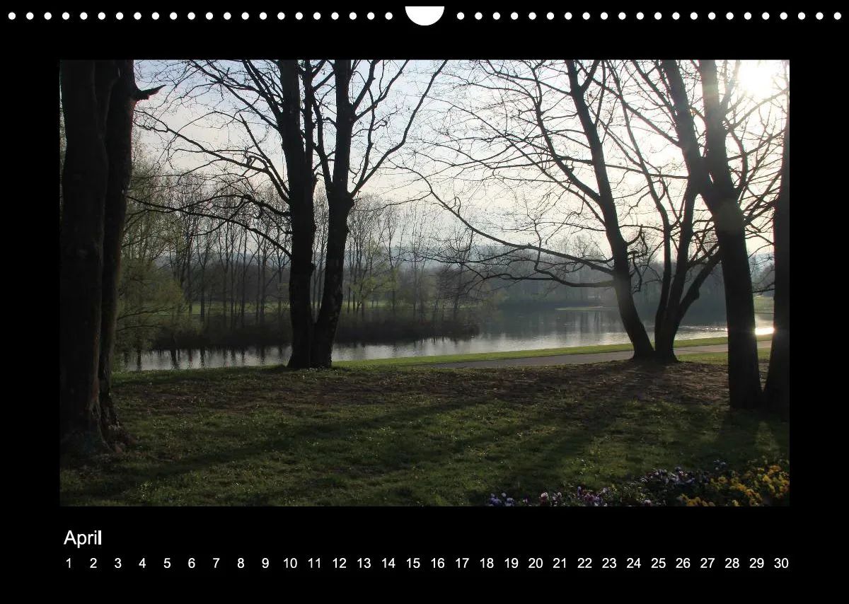 Meine Rheinaue Bonn