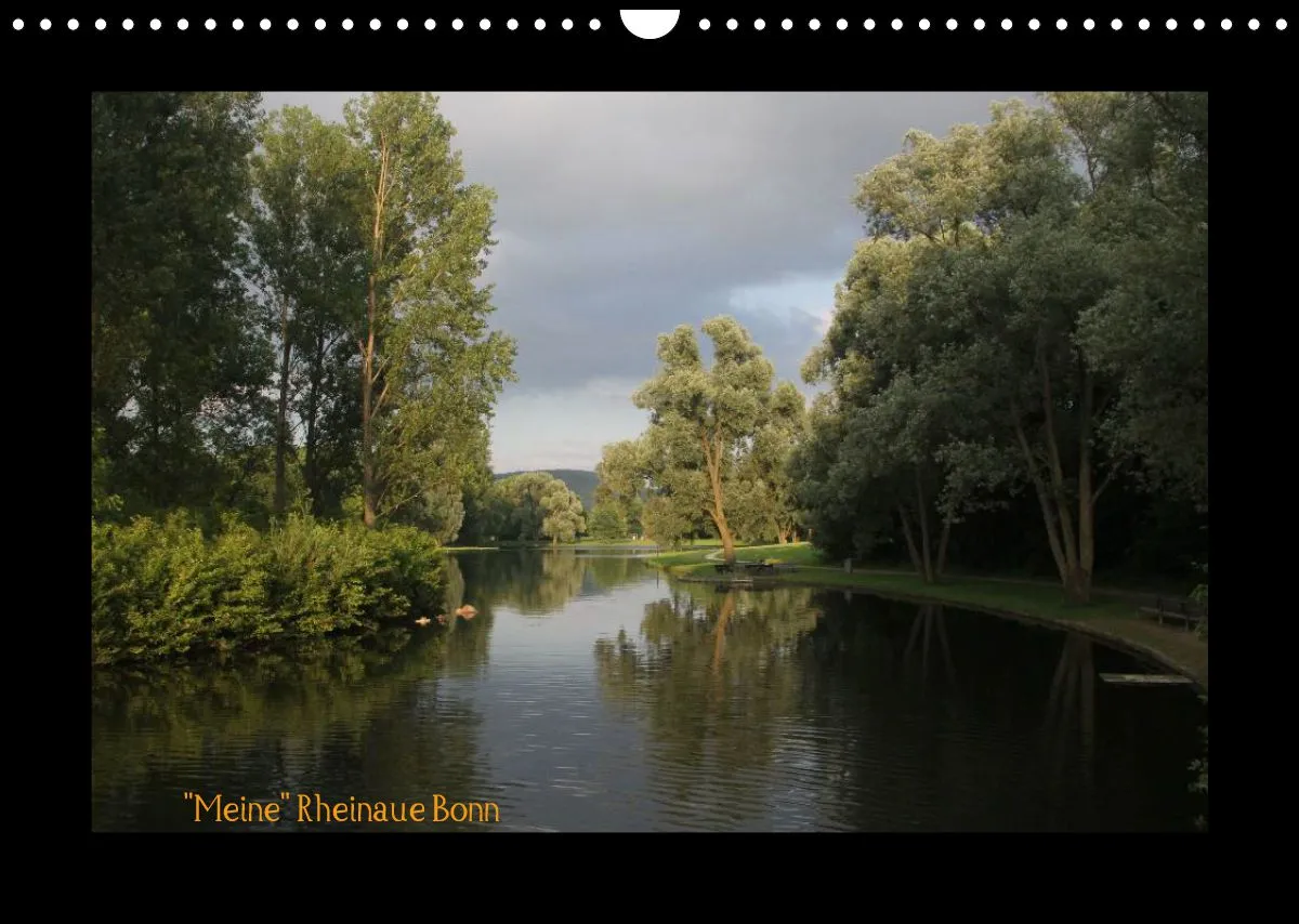 Meine Rheinaue Bonn