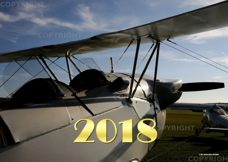 Bücker 2018 A3