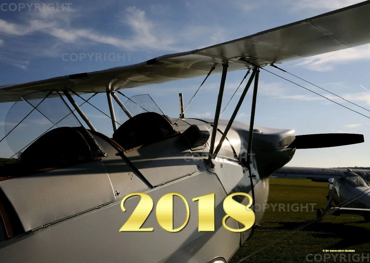 Bücker 2018 A2