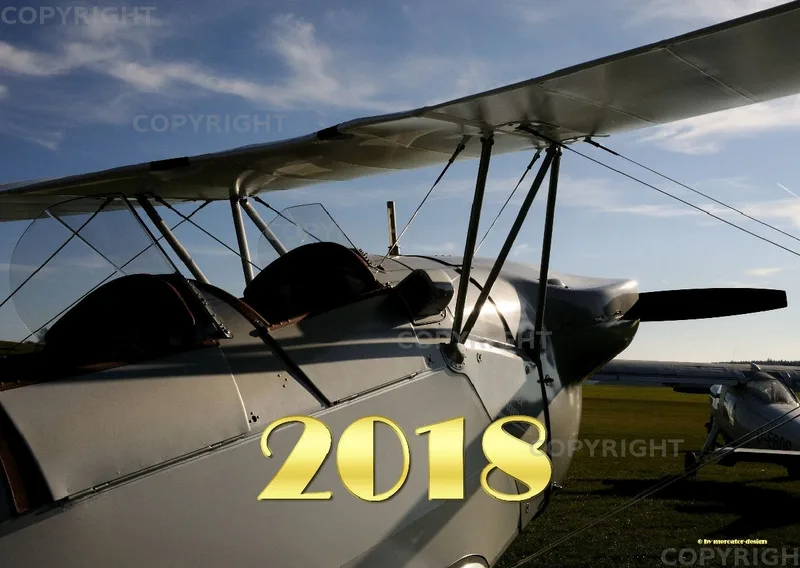 Bücker 2018 A2