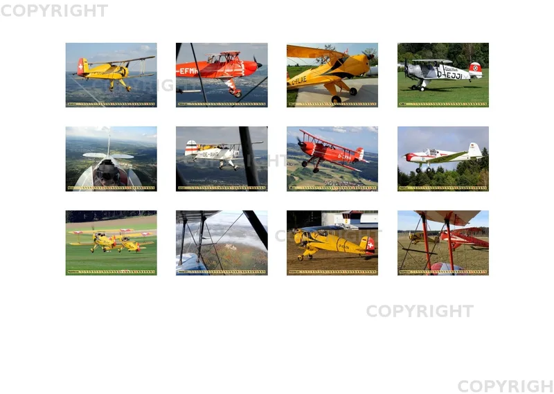 Bücker 2018 A3