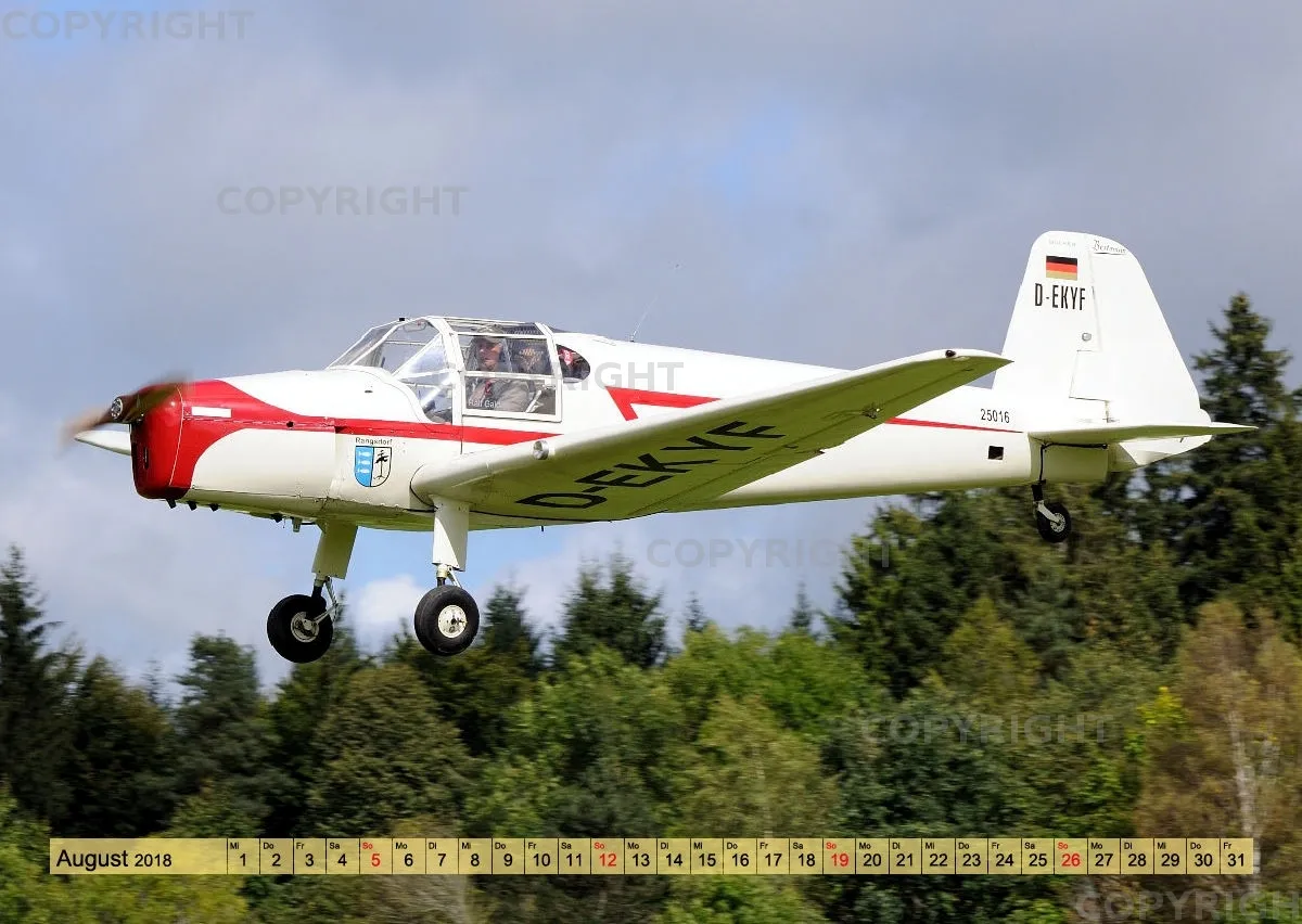 Bücker 2018 A2