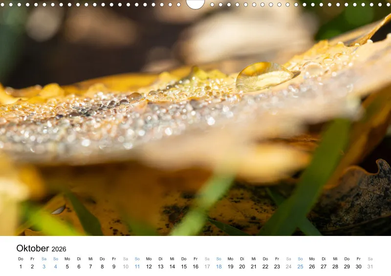 Kalender Kollektion '22