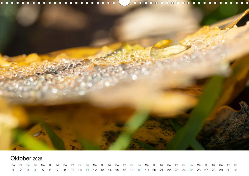 Kalender Kollektion '22