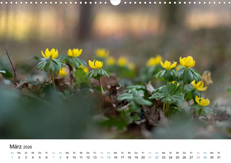 Kalender Kollektion '22