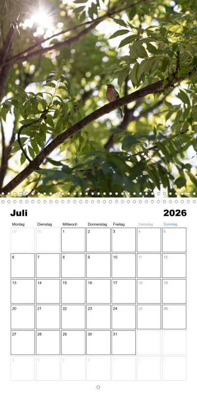 Klappkalender Kollektion '22