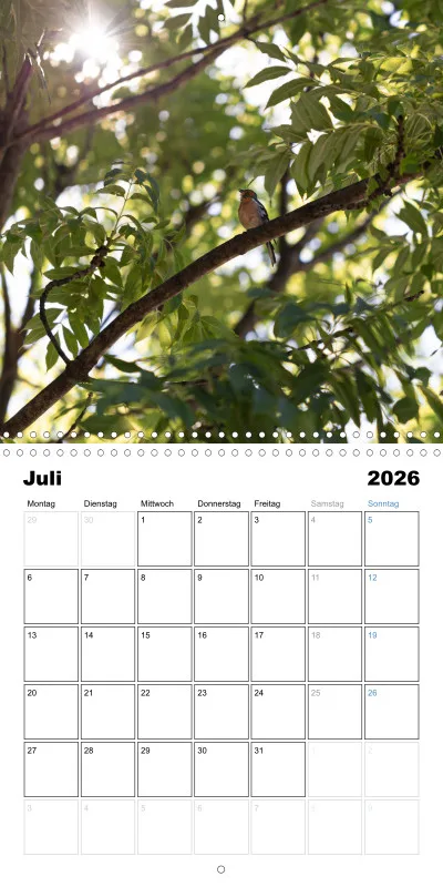 Klappkalender Kollektion '22