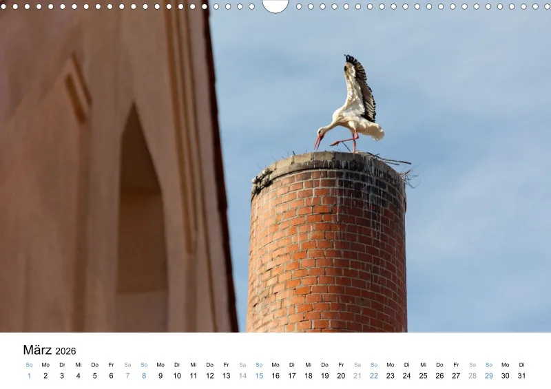 Kalender Kollektion '25