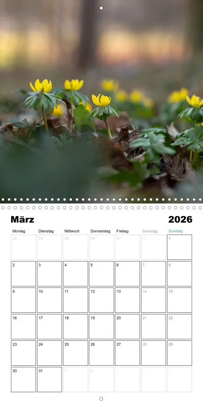 Klappkalender Kollektion '22