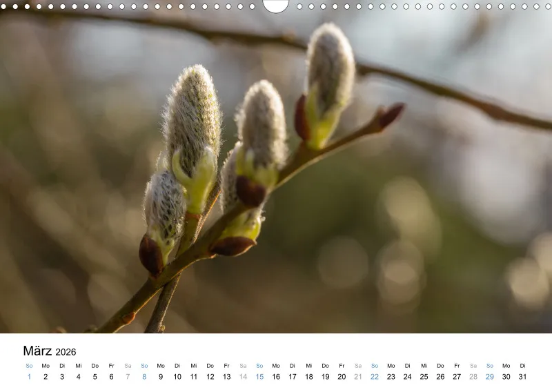 Kalender Kollektion '23