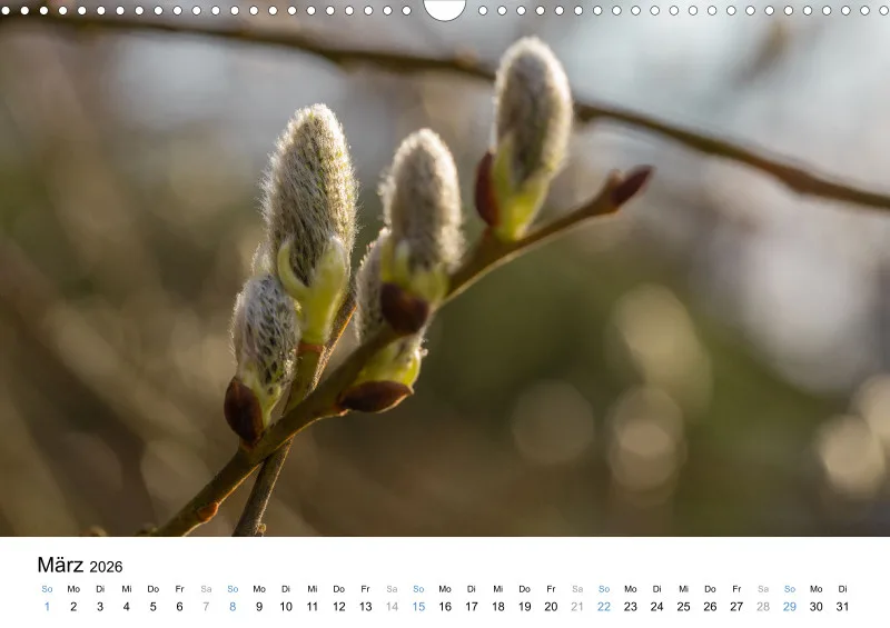 Kalender Kollektion '23