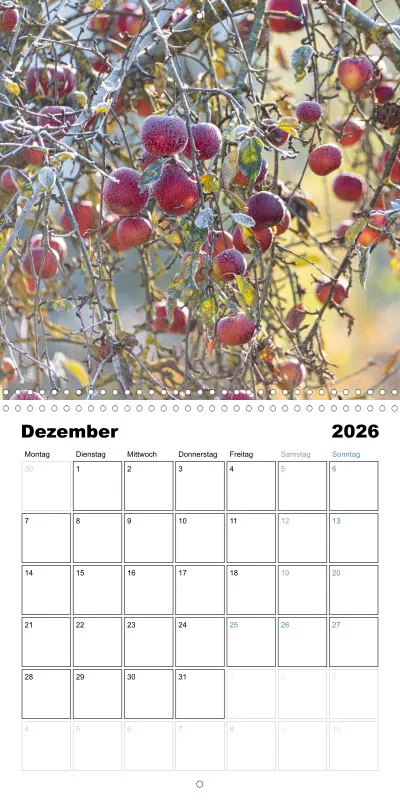 Klappkalender Kollektion '25