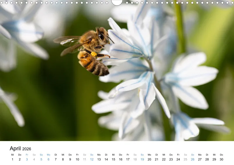 Kalender Kollektion '23
