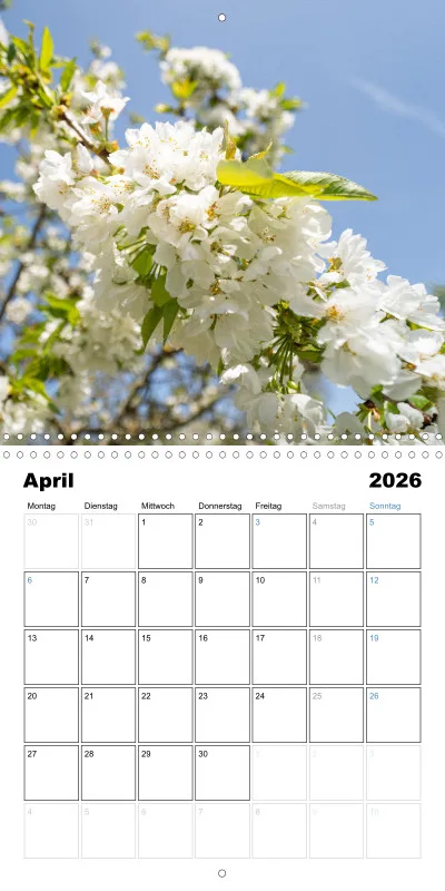 Klappkalender Kollektion '24