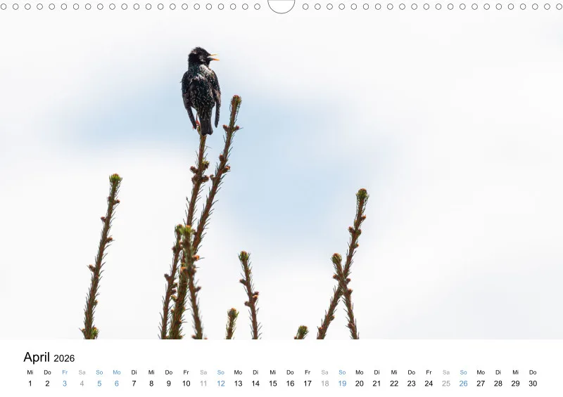 Kalender Kollektion '22