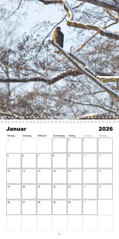 Klappkalender Kollektion '22