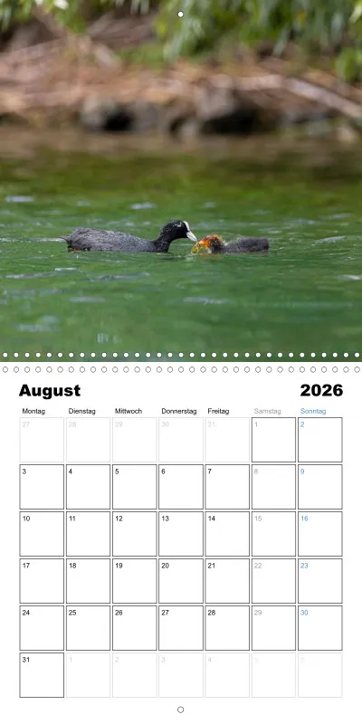 Klappkalender Kollektion '23