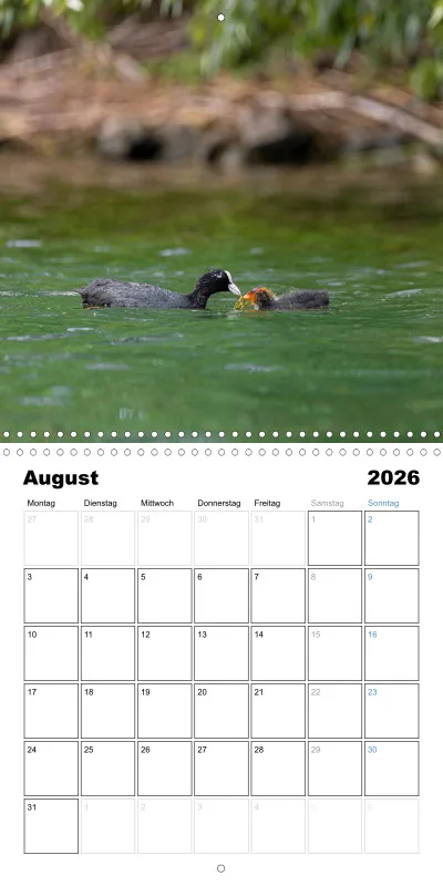 Klappkalender Kollektion '23