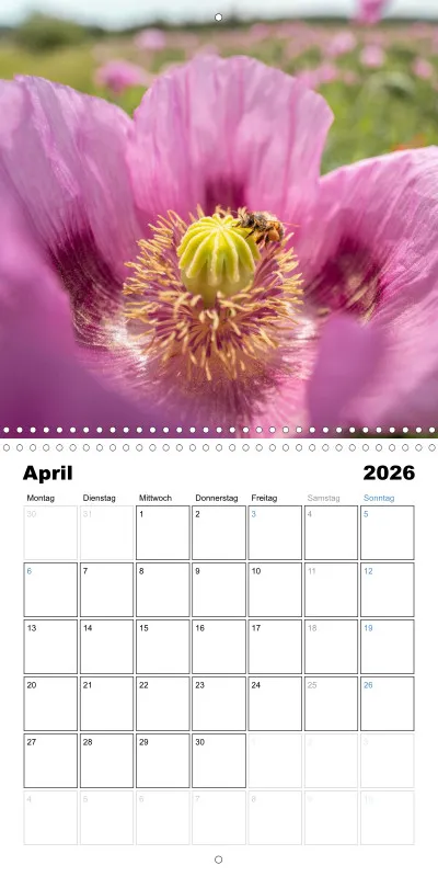 Klappkalender Kollektion '25