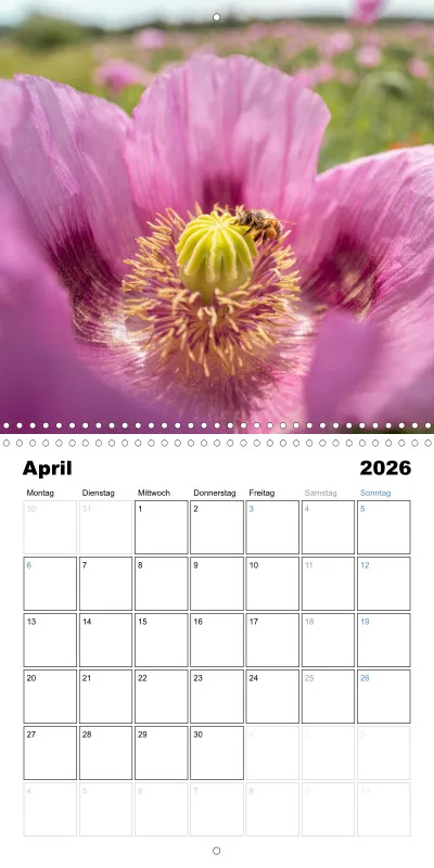 Klappkalender Kollektion '25