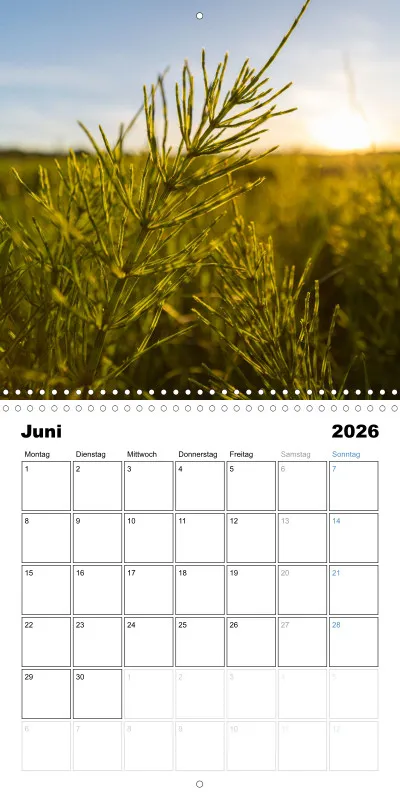 Klappkalender Kollektion '24