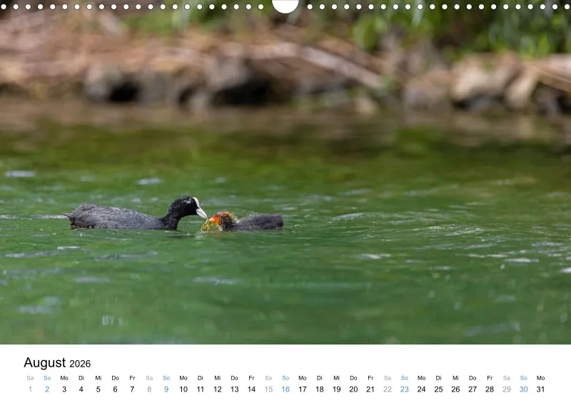 Kalender Kollektion '23