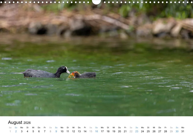 Kalender Kollektion '23