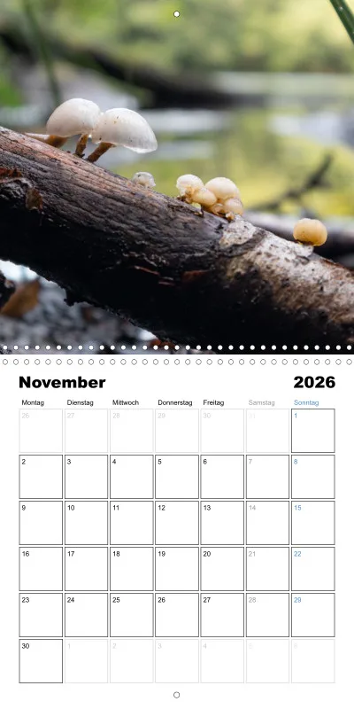 Klappkalender Kollektion '25