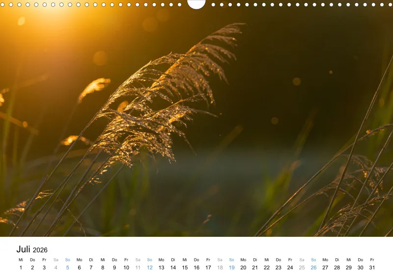 Kalender Kollektion '23