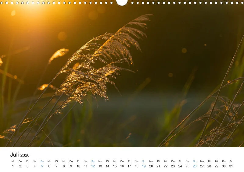 Kalender Kollektion '23