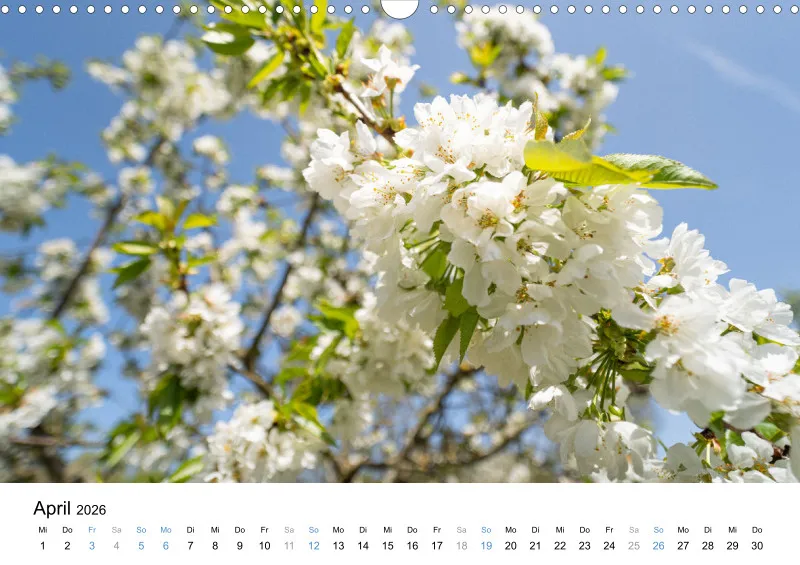 Kalender Kollektion '24