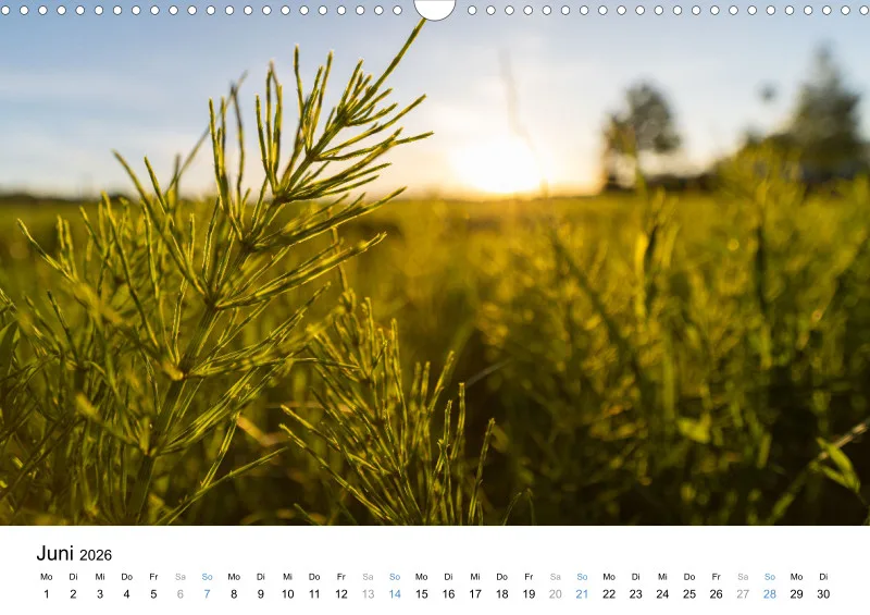 Kalender Kollektion '24