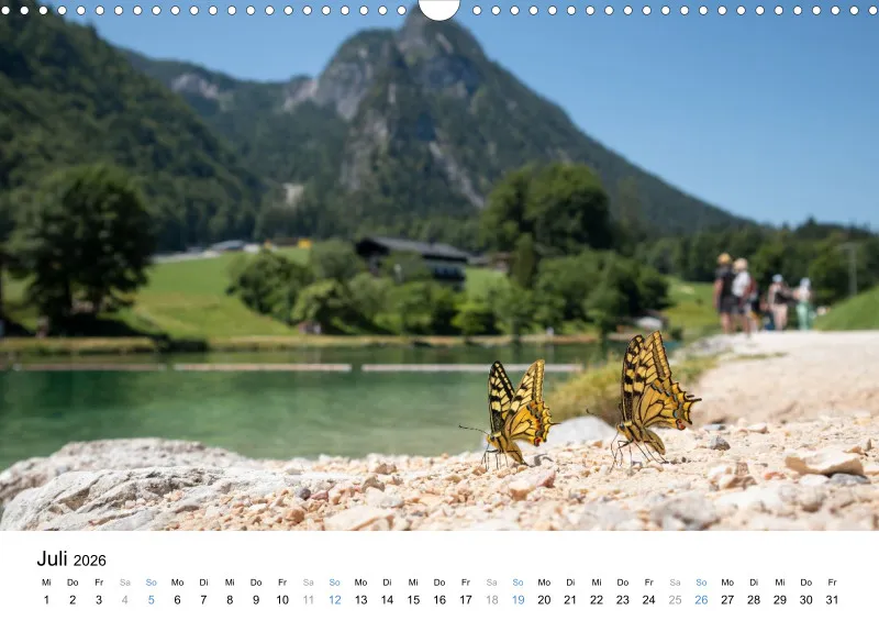 Kalender Kollektion '25