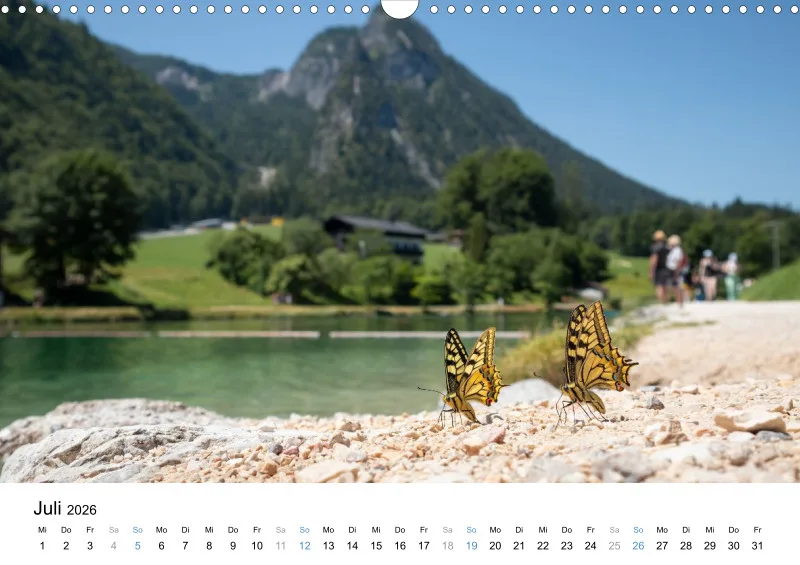 Kalender Kollektion '25