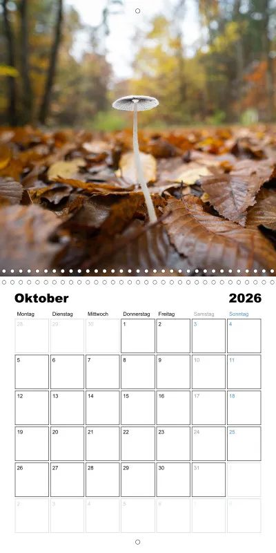 Klappkalender Kollektion '24