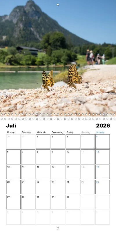 Klappkalender Kollektion '25