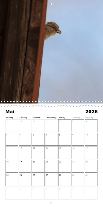 Klappkalender Kollektion '24