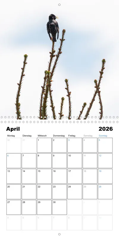 Klappkalender Kollektion '22